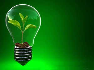 Jornada sobre emprendimiento verde